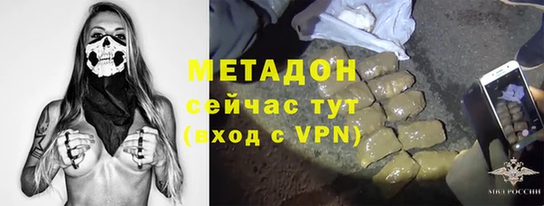 гидра Каменногорск