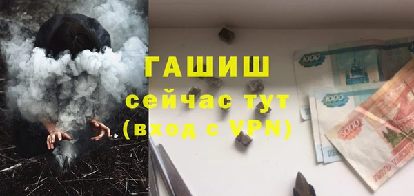 гидра Каменногорск