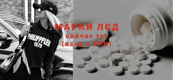 спайс Каменка