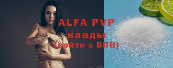спайс Каменка
