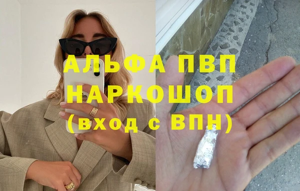спайс Каменка