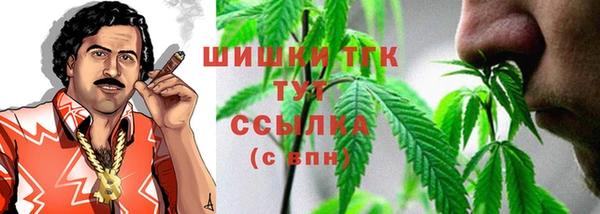 спайс Каменка