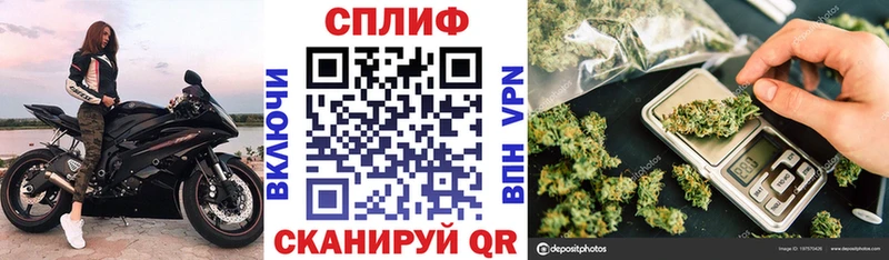 Купить Сусуман Марихуана Ganja